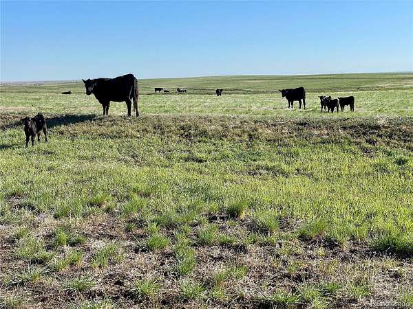 89 Acres of Land for Sale in Deer Trail, Colorado