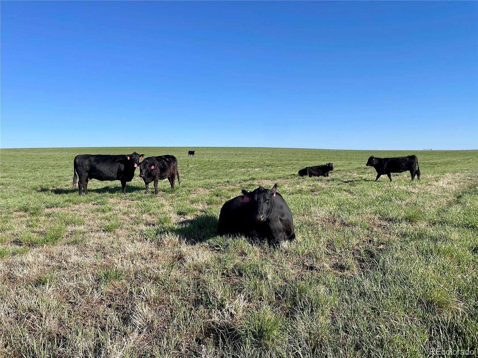 35 Acres of Land for Sale in Deer Trail, Colorado