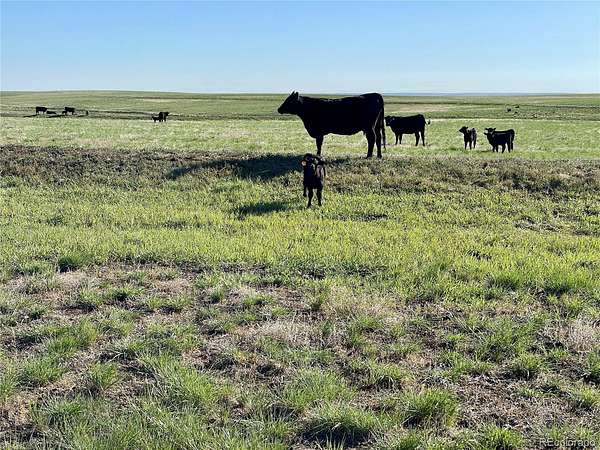 35 Acres of Agricultural Land for Sale in Deer Trail, Colorado