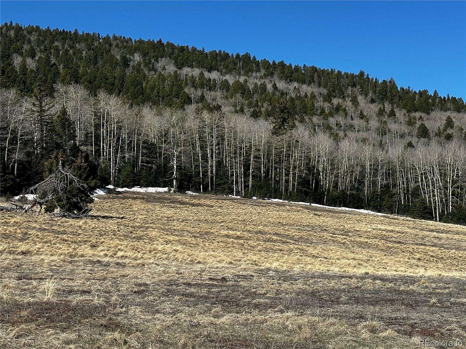 2 Acres of Residential Land for Sale in Fort Garland, Colorado