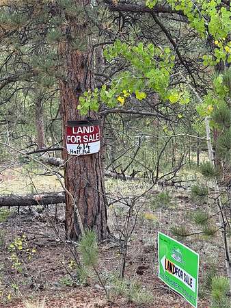 0.2 Acres of Residential Land for Sale in Bailey, Colorado