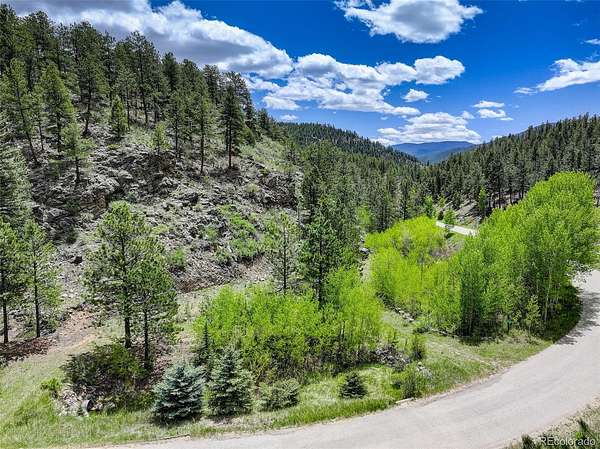 3.53 Acres of Land for Sale in Bailey, Colorado