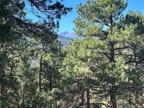 0.47 Acres of Residential Land for Sale in Evergreen, Colorado