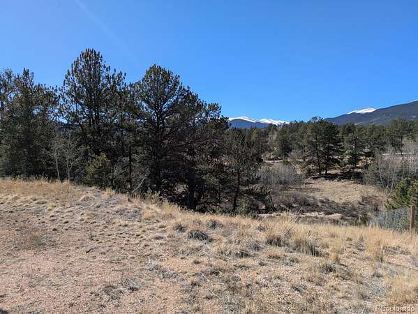 0.59 Acres of Residential Land for Sale in Bailey, Colorado