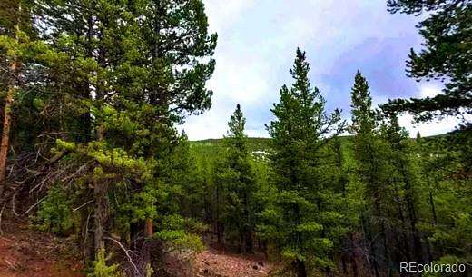 10.3 Acres of Recreational Land for Sale in Gunnison, Colorado
