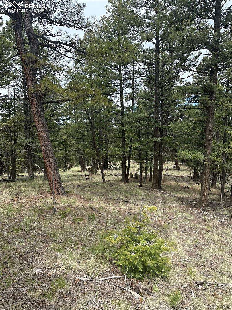 1.15 Acres of Residential Land for Sale in Florissant, Colorado