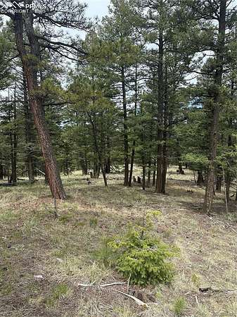 1.15 Acres of Residential Land for Sale in Florissant, Colorado