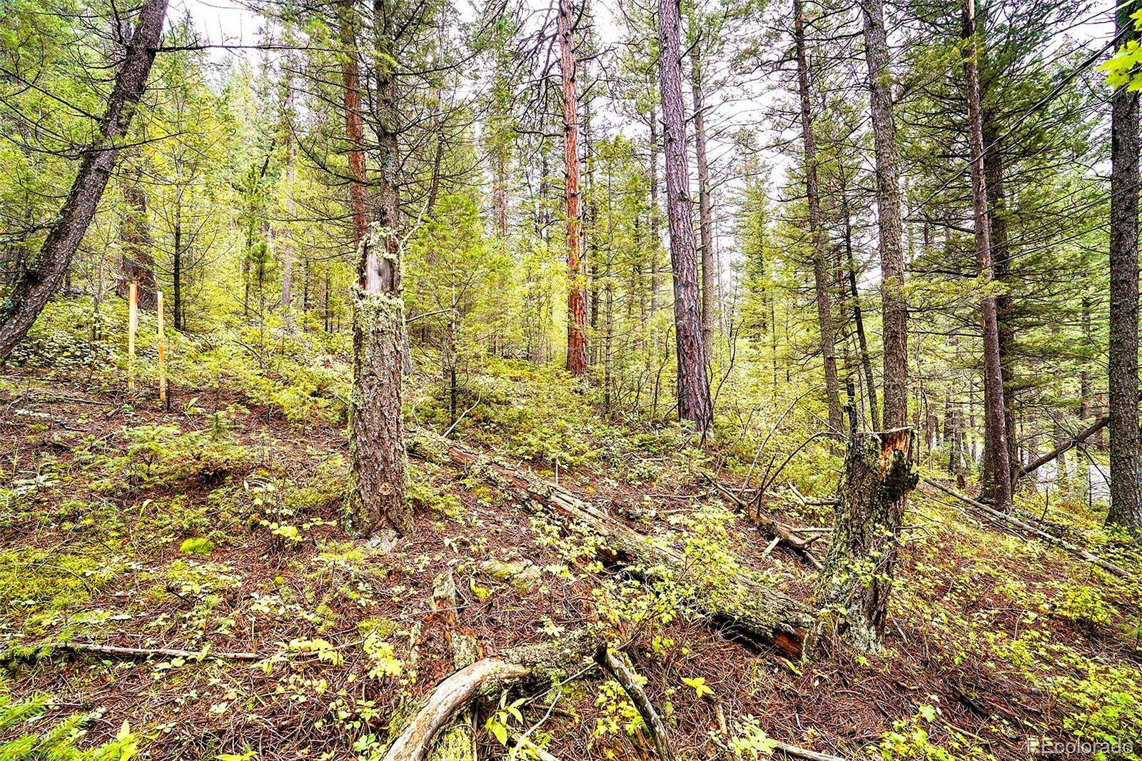 1.15 Acres of Land for Sale in Golden, Colorado