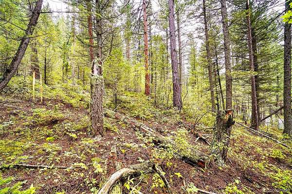 1.15 Acres of Land for Sale in Golden, Colorado