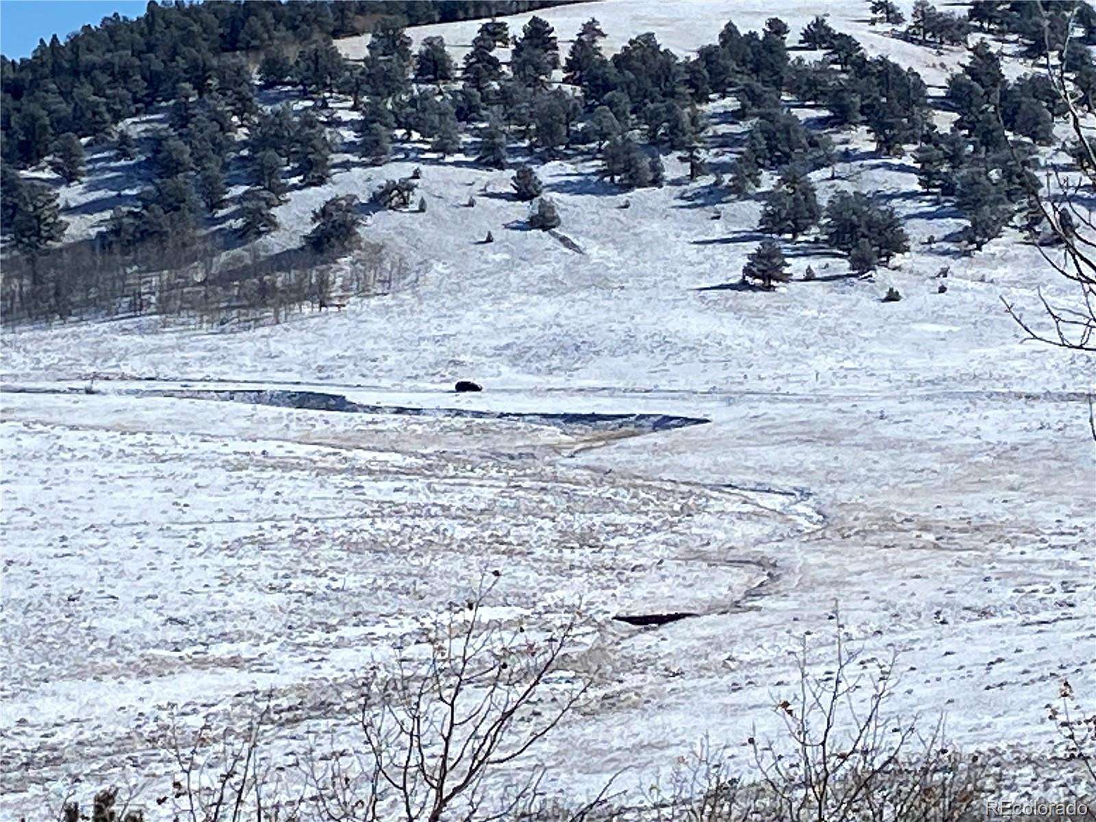 40 Acres of Land for Sale in Como, Colorado