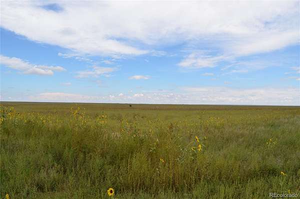 39.6 Acres of Land for Sale in Rush, Colorado
