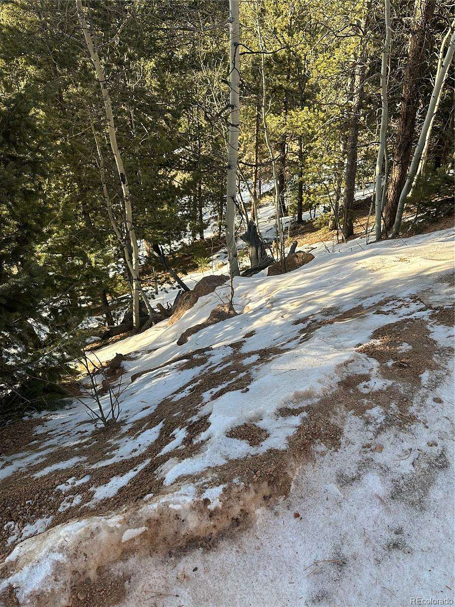 1 Acre of Residential Land for Sale in Divide, Colorado