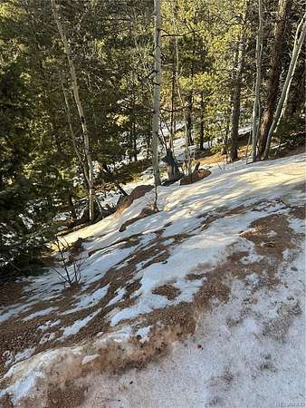 1 Acre of Residential Land for Sale in Divide, Colorado