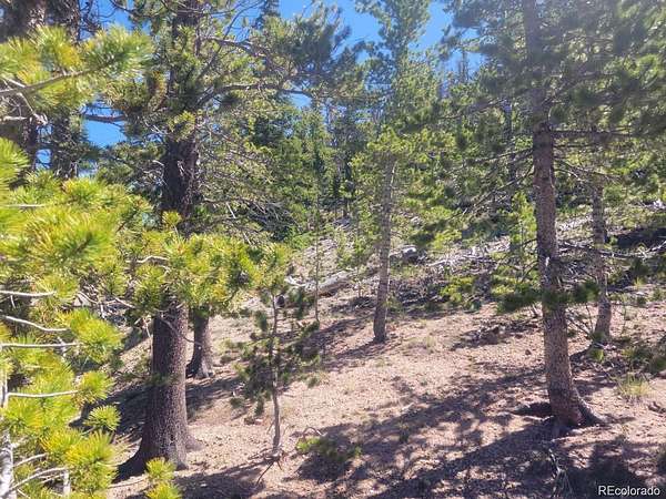 0.51 Acres of Residential Land for Sale in Idaho Springs, Colorado