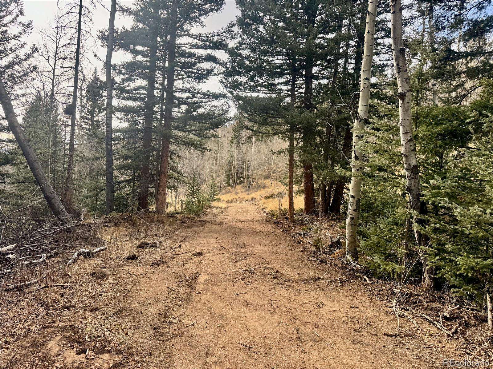 17 Acres of Recreational Land for Sale in San Luis, Colorado