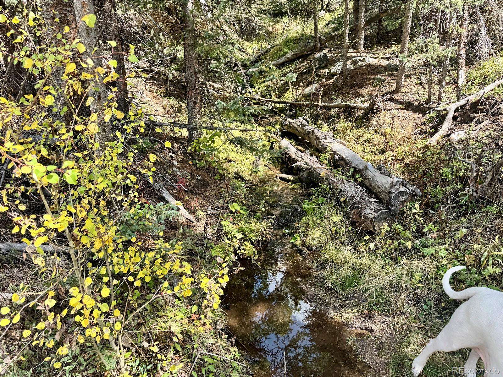17 Acres of Recreational Land for Sale in San Luis, Colorado