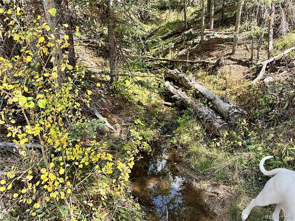 17 Acres of Recreational Land for Sale in San Luis, Colorado