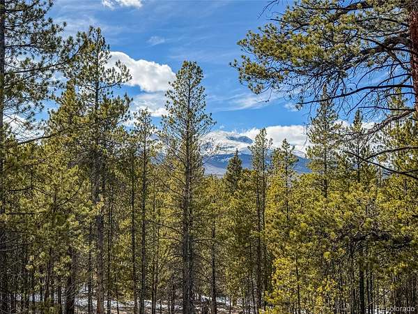 1 Acre of Land for Sale in Twin Lakes, Colorado