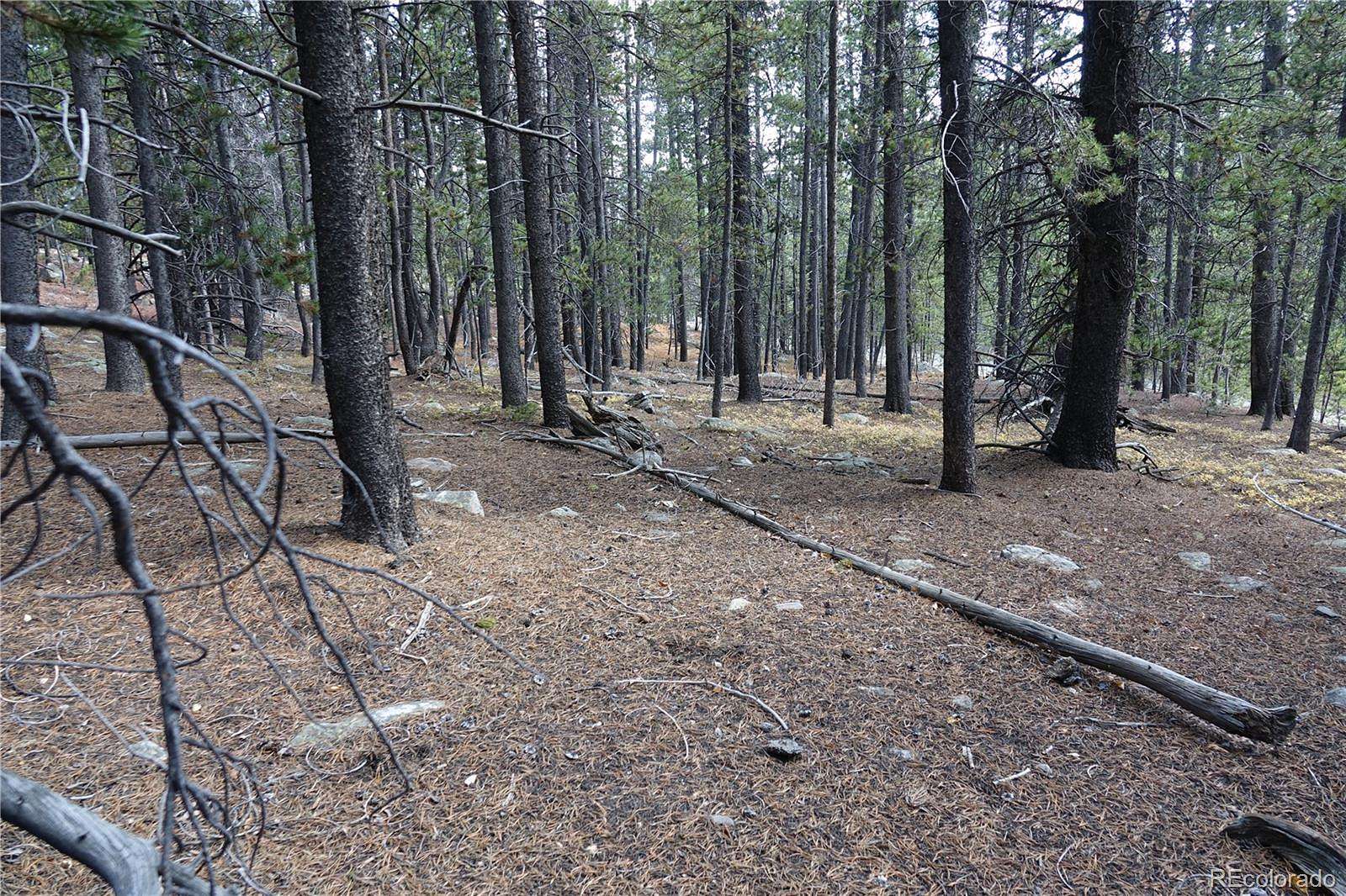 1.18 Acres of Residential Land for Sale in Idaho Springs, Colorado
