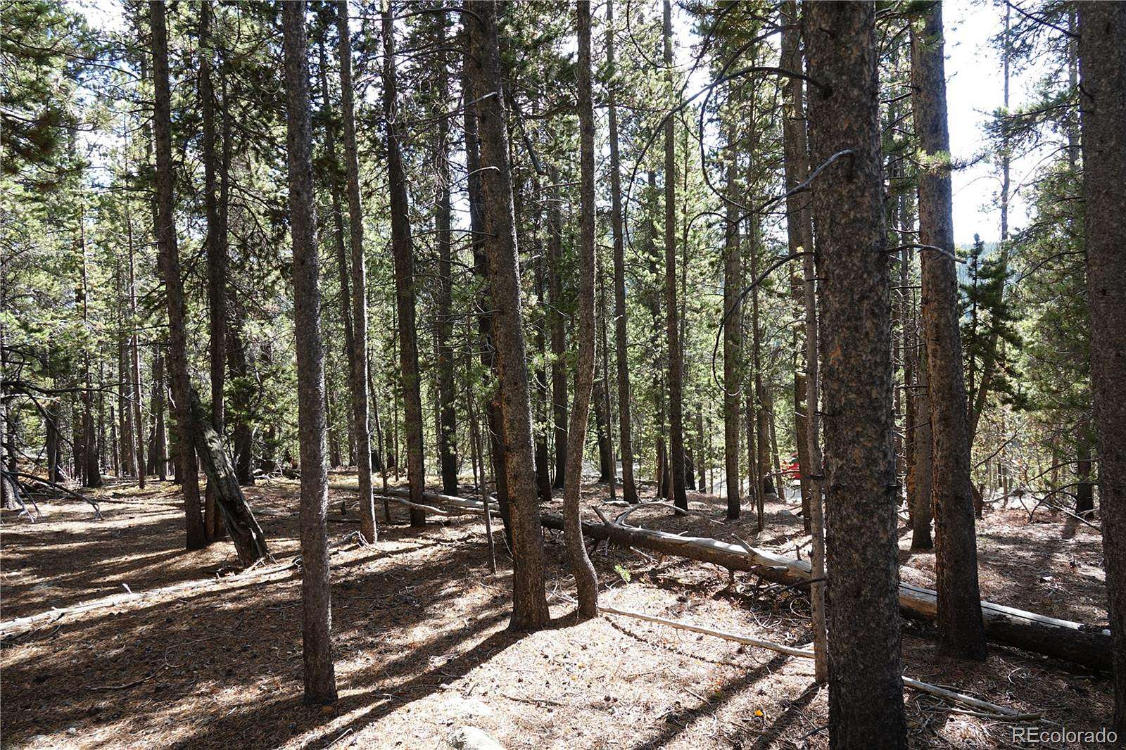 1.18 Acres of Residential Land for Sale in Idaho Springs, Colorado