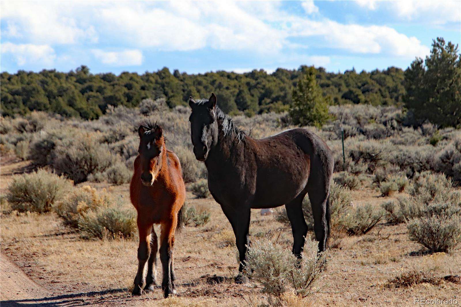 2.53 Acres of Residential Land for Sale in San Luis, Colorado