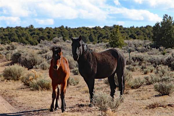 2.53 Acres of Residential Land for Sale in San Luis, Colorado