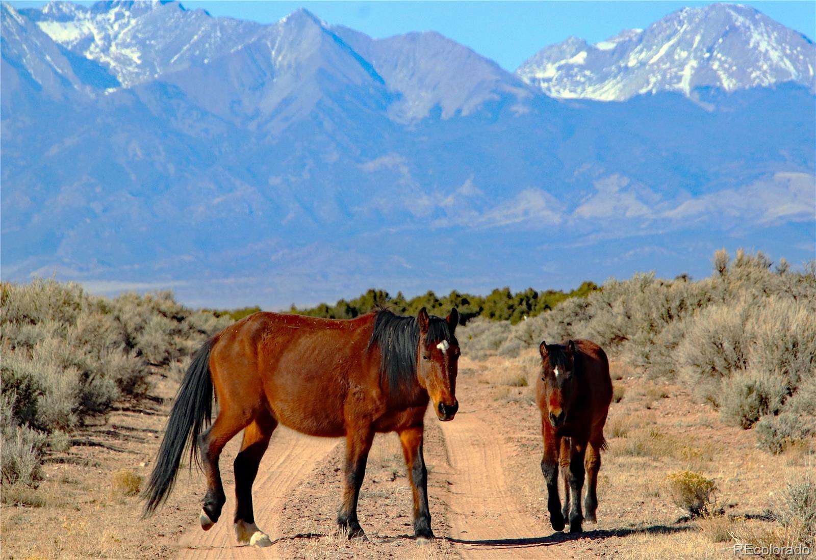 2.53 Acres of Residential Land for Sale in San Luis, Colorado