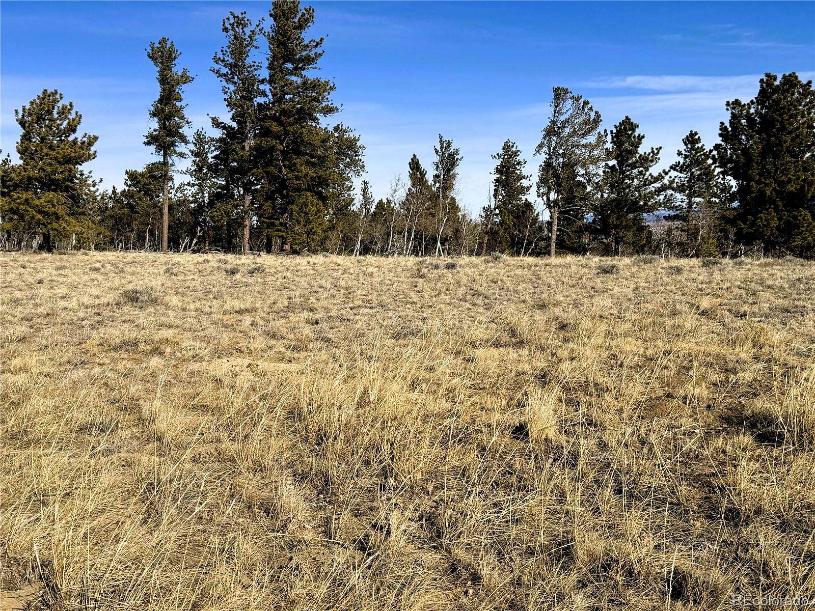 2 Acres of Residential Land for Sale in Hartsel, Colorado