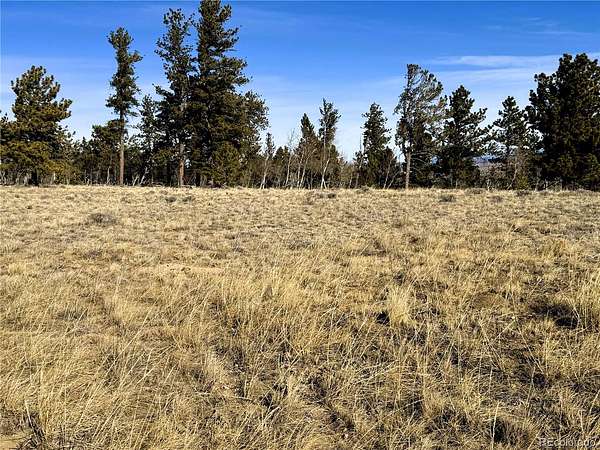 2 Acres of Residential Land for Sale in Hartsel, Colorado