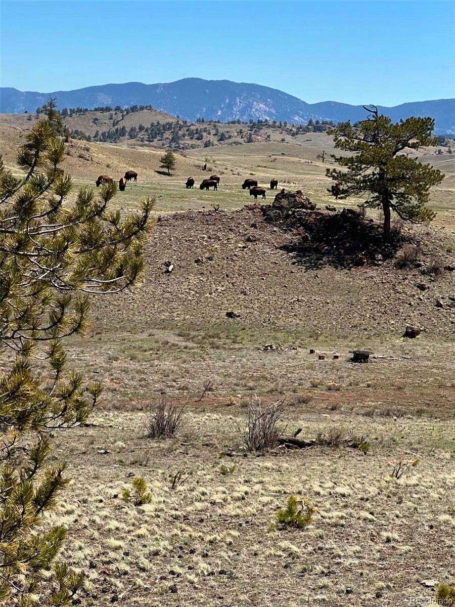 7.37 Acres of Residential Land for Sale in Hartsel, Colorado