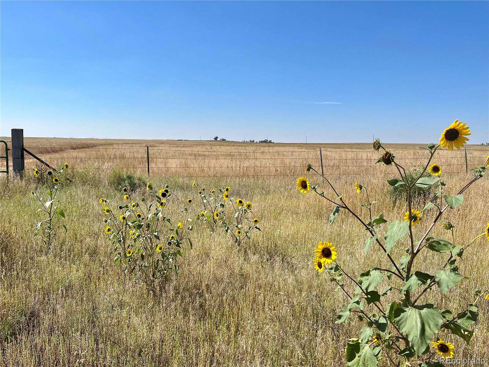 239 Acres of Land for Sale in Limon, Colorado