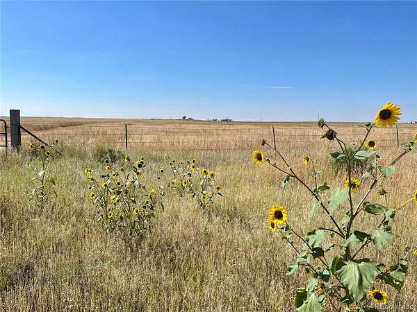 239 Acres of Land for Sale in Limon, Colorado