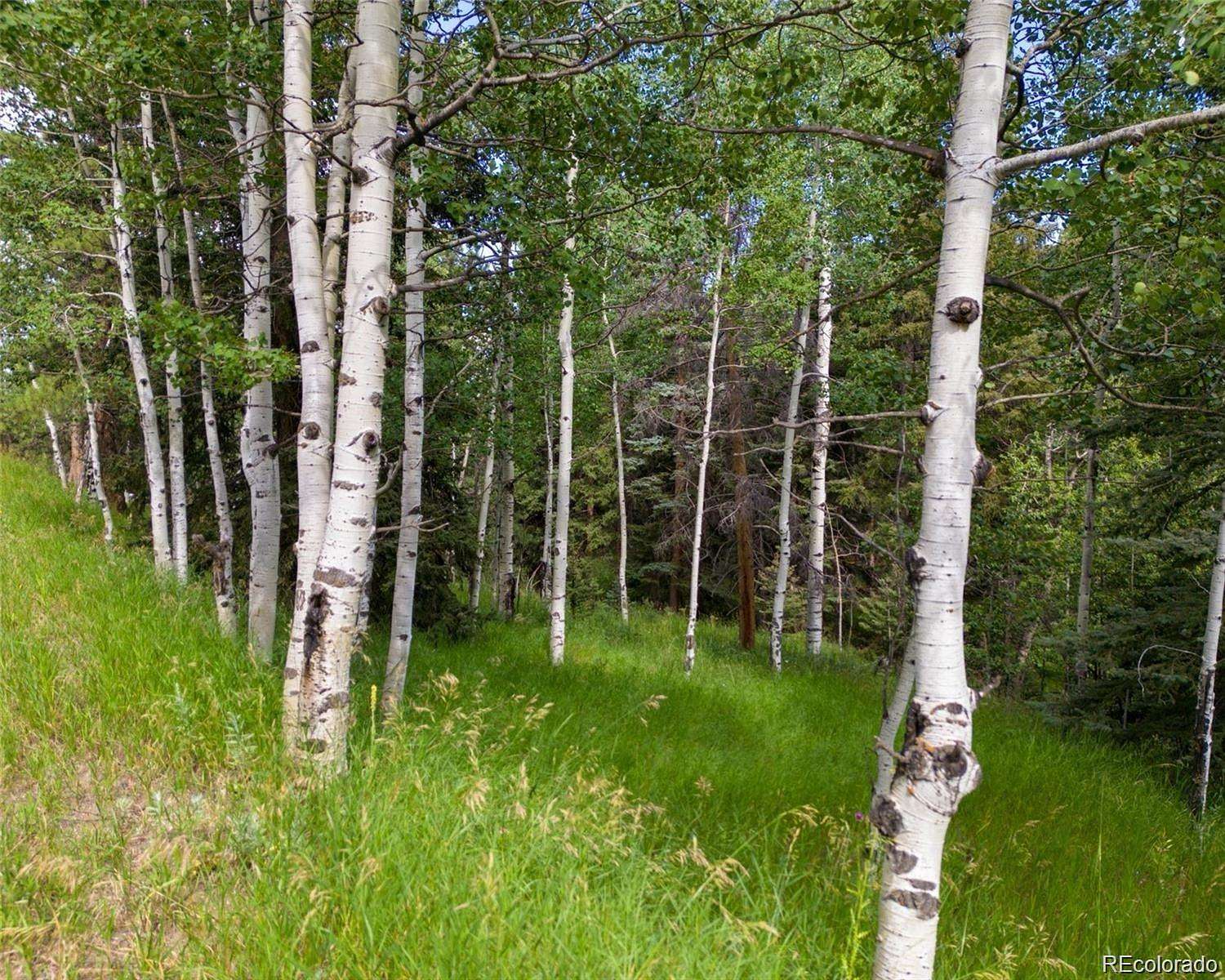 1 Acre of Residential Land for Sale in Conifer, Colorado