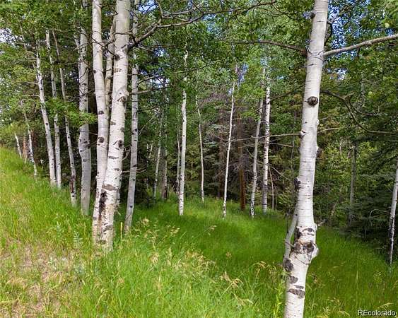 1 Acre of Residential Land for Sale in Conifer, Colorado