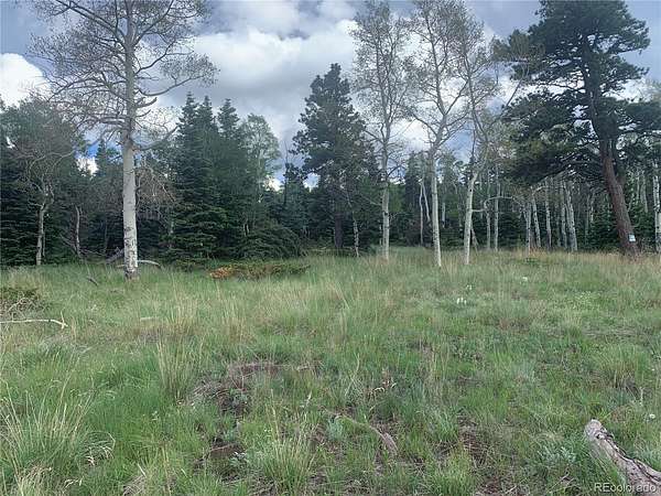 1.5 Acres of Residential Land for Sale in Fort Garland, Colorado