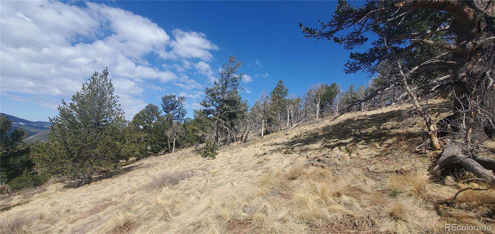 2.2 Acres of Residential Land for Sale in Fort Garland, Colorado