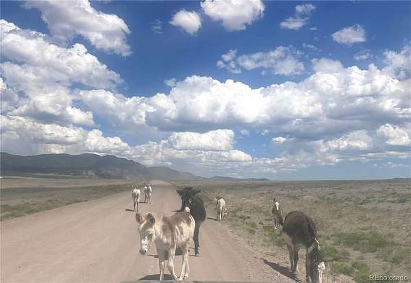 1.25 Acres of Residential Land for Sale in Alamosa, Colorado