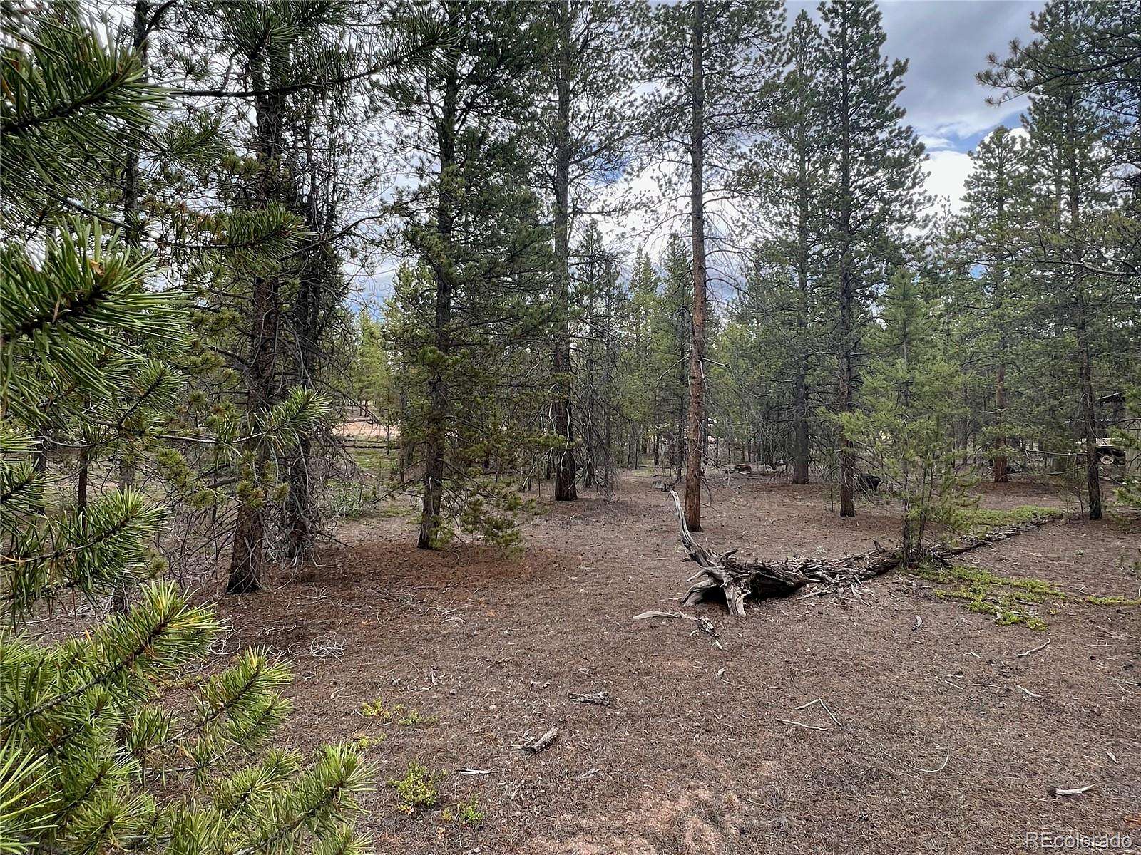 0.6 Acres of Residential Land for Sale in Twin Lakes, Colorado