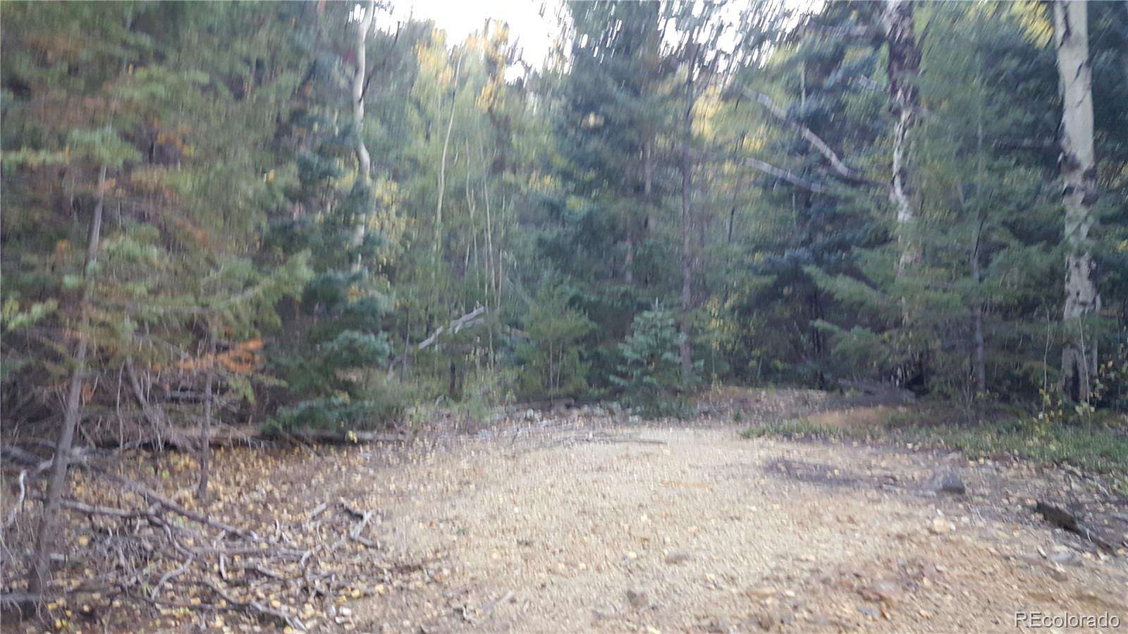 19 Acres of Land for Sale in Dumont, Colorado