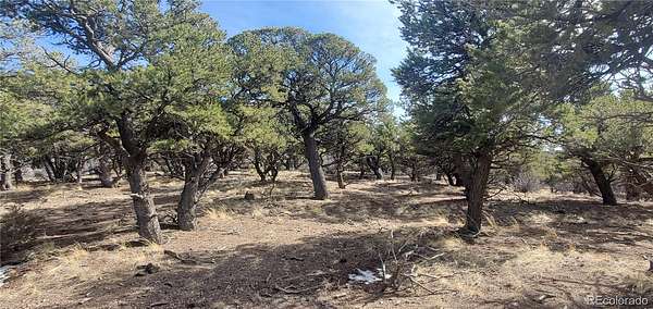 5 Acres of Residential Land for Sale in Fort Garland, Colorado