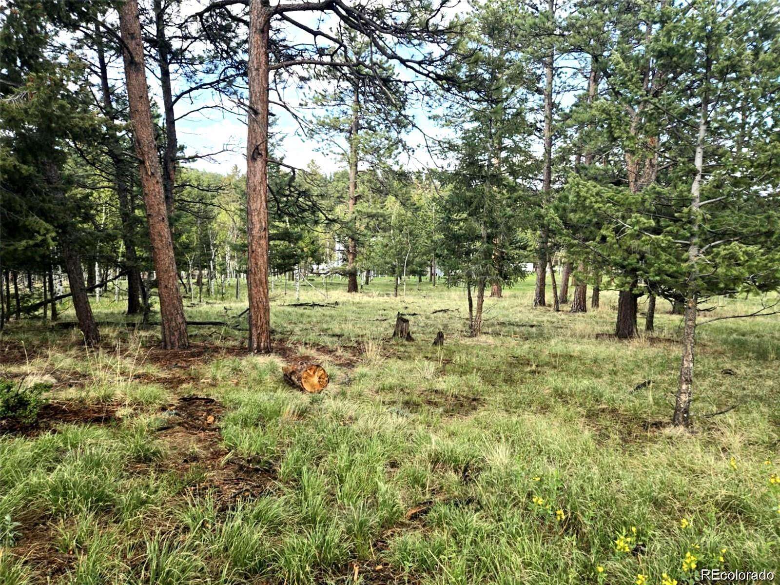 2.25 Acres of Residential Land for Sale in Bailey, Colorado