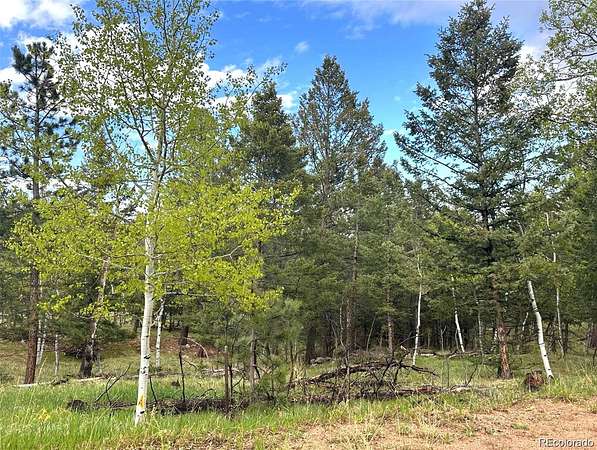 2.25 Acres of Residential Land for Sale in Bailey, Colorado