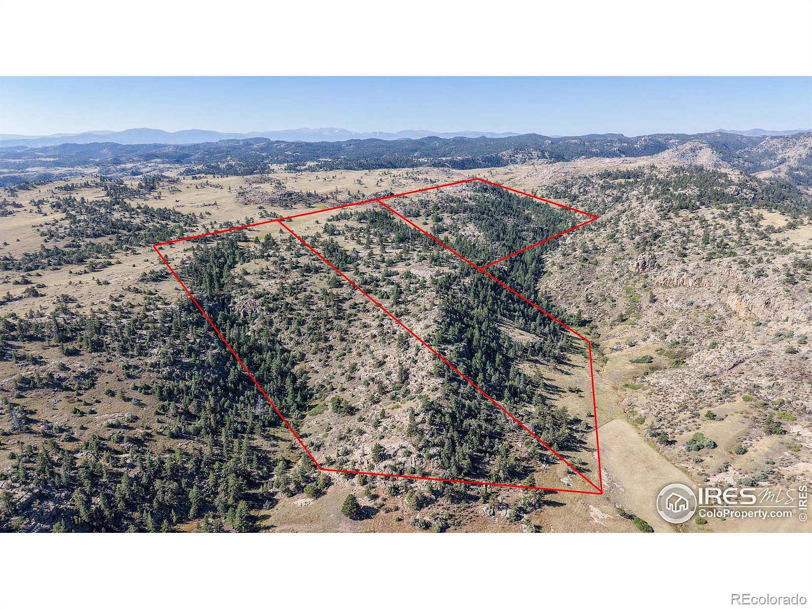 98.8 Acres of Recreational & Residential Land for Sale in Livermore, Colorado