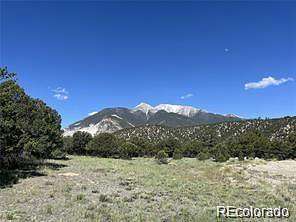 1 Acre of Residential Land for Sale in Nathrop, Colorado