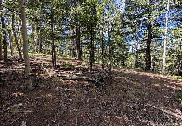 1.2 Acres of Residential Land for Sale in Divide, Colorado