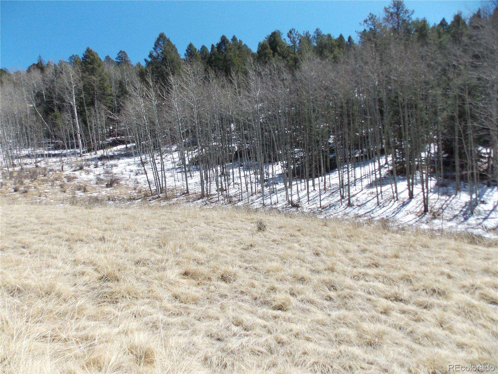 1.46 Acres of Residential Land for Sale in Cripple Creek, Colorado