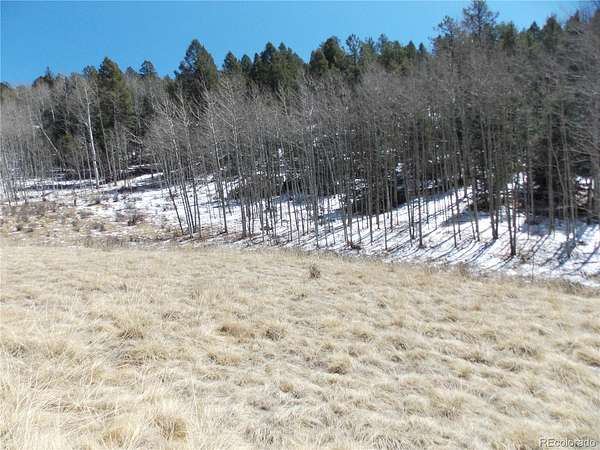 1.46 Acres of Residential Land for Sale in Cripple Creek, Colorado