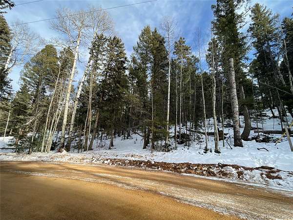 0.7 Acres of Residential Land for Sale in Florissant, Colorado