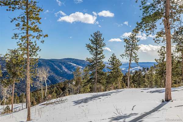 39.8 Acres of Land for Sale in Conifer, Colorado