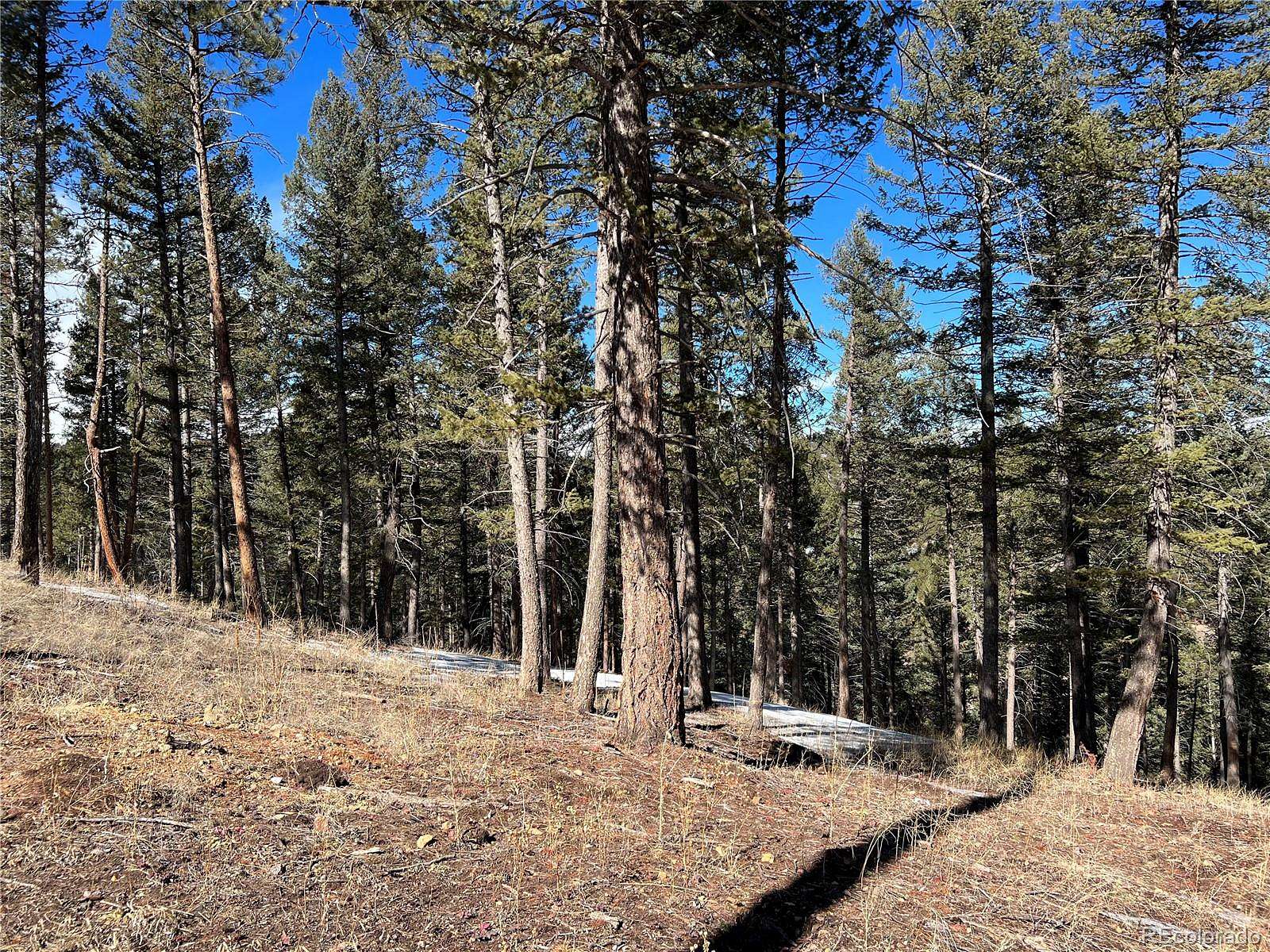 2 Acres of Residential Land for Sale in Morrison, Colorado